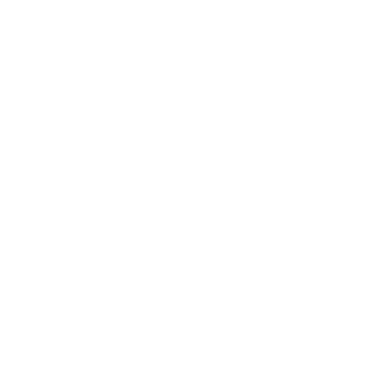 Forro With Camila Logo